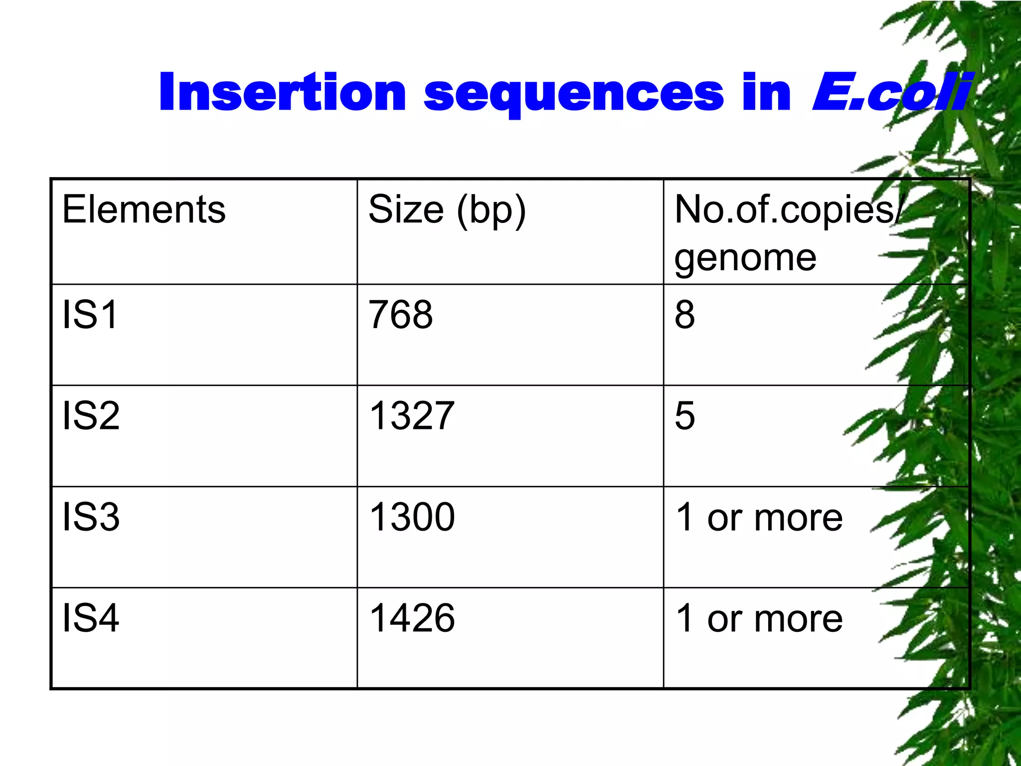 Insertion sequences in E.coli

Elements     Size (bp)   No.of.copies/
                         genome
IS1          768         8

IS2          1327        5

IS3          1300        1 or more

IS4          1426        1 or more
 