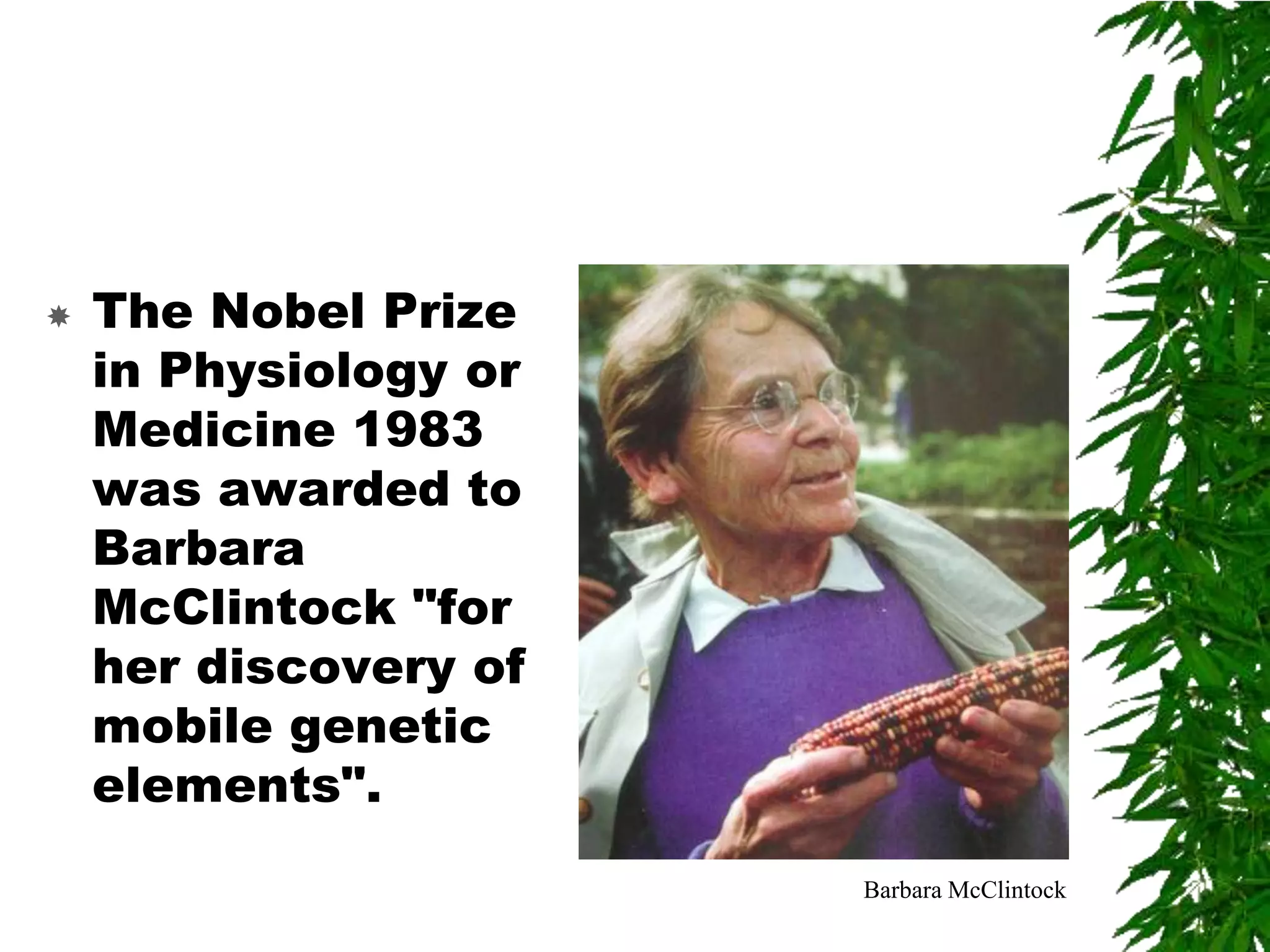    The Nobel Prize
    in Physiology or
    Medicine 1983
    was awarded to
    Barbara
    McClintock "for
    her discovery of
    mobile genetic
    elements".
                       Barbara McClintock
 
