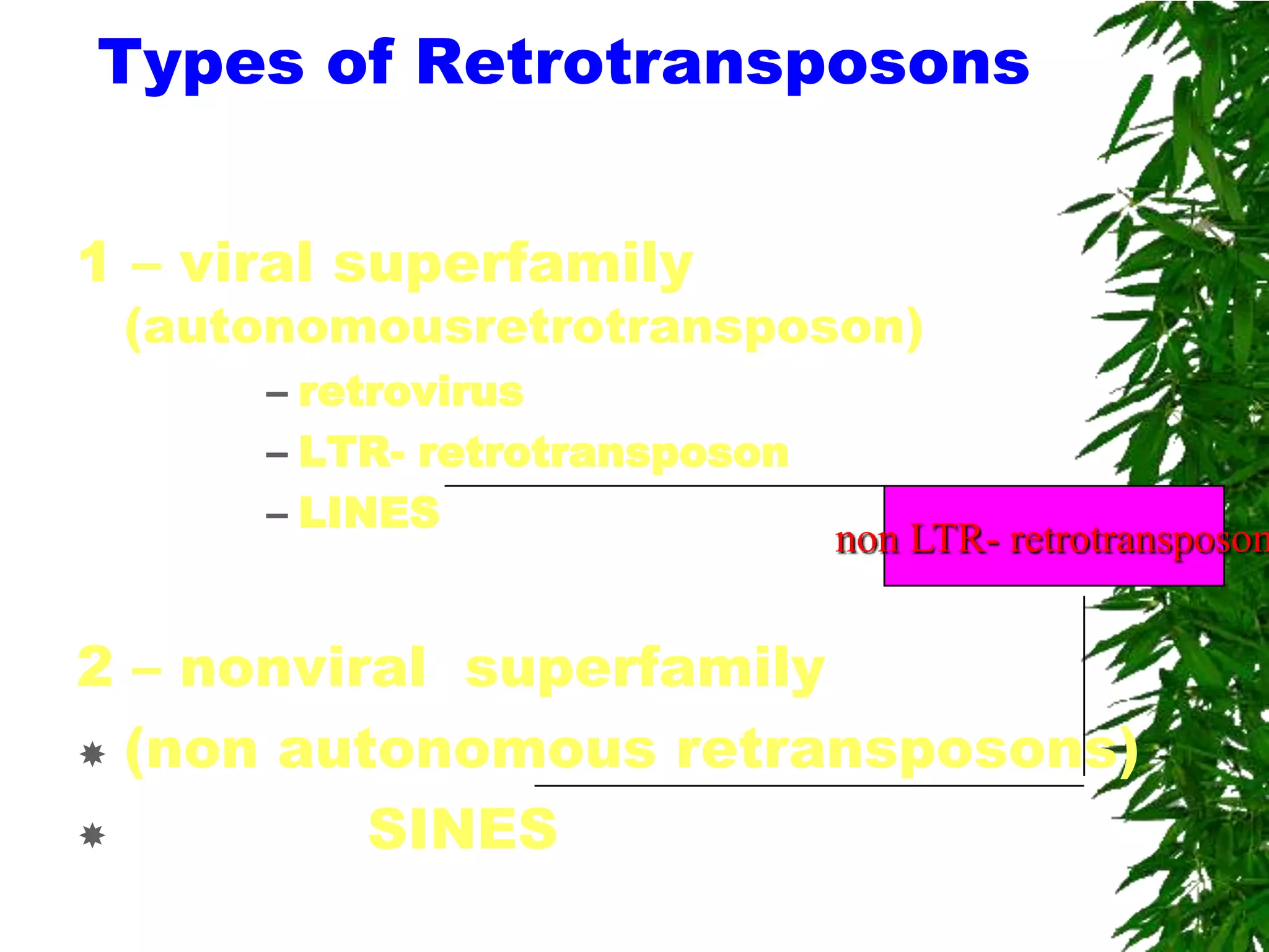 Types of Retrotransposons


1 – viral superfamily
 (autonomousretrotransposon)
      – retrovirus
      – LTR- retrotransposon
      – LINES
                               non LTR- retrotransposon


2 – nonviral superfamily
 (non autonomous retransposons)

         SINES
 