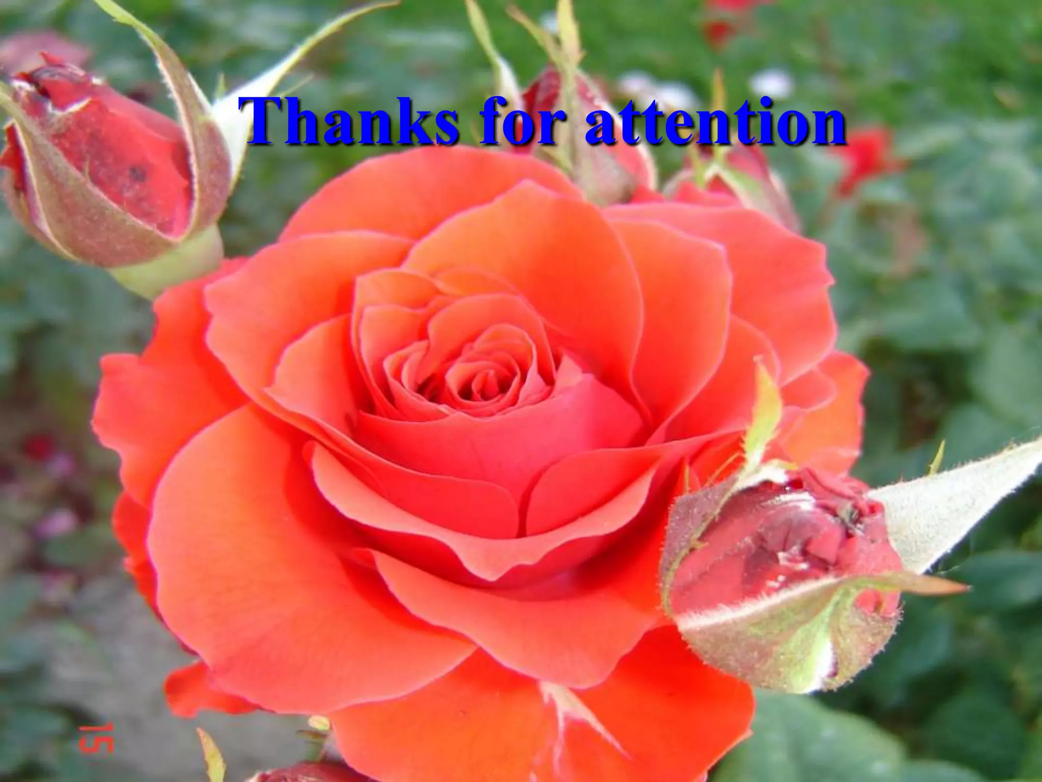 Thanks for attention
 