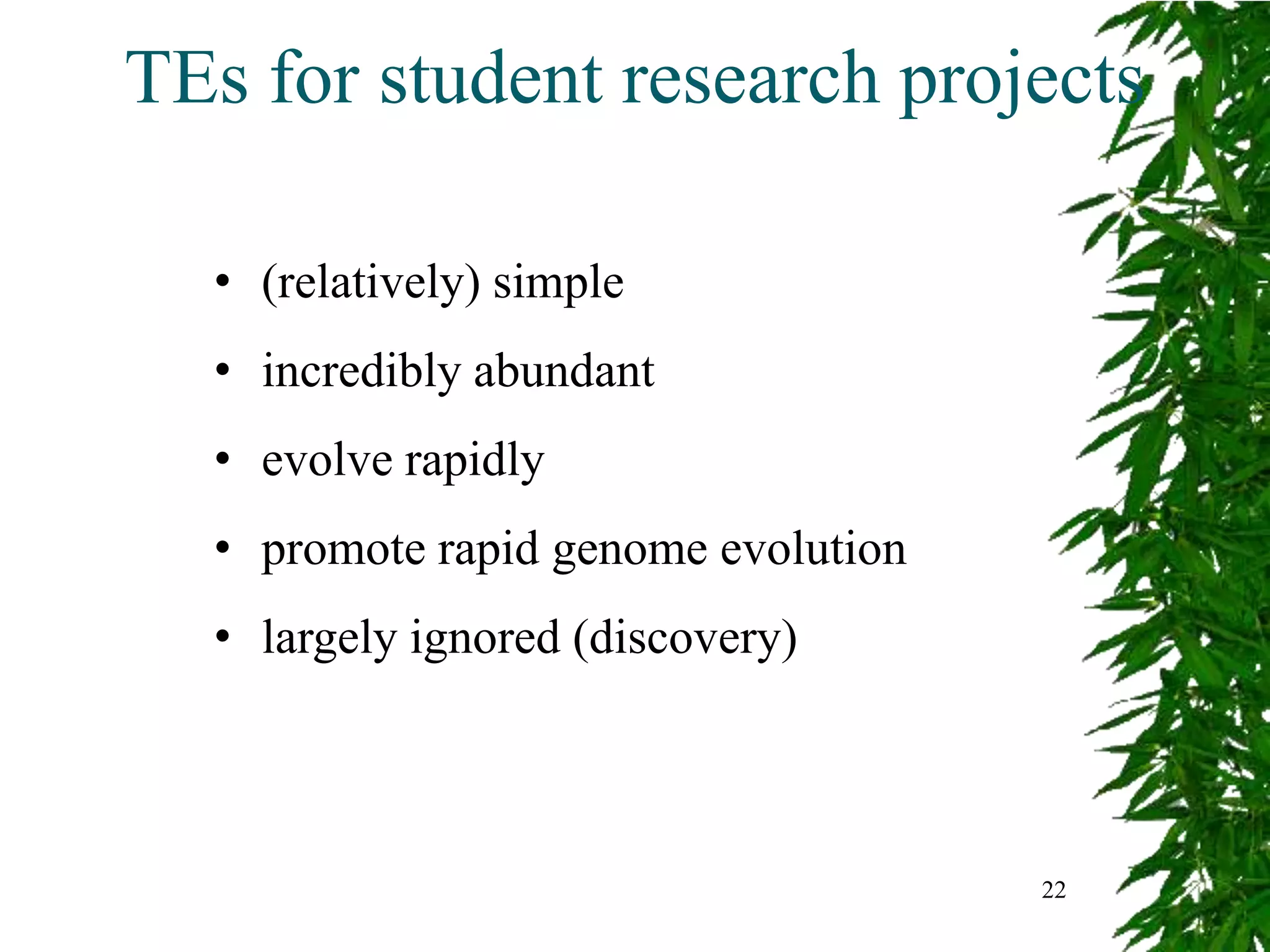 TEs for student research projects

  • (relatively) simple
  • incredibly abundant
  • evolve rapidly
  • promote rapid genome evolution
  • largely ignored (discovery)



                                     22
 