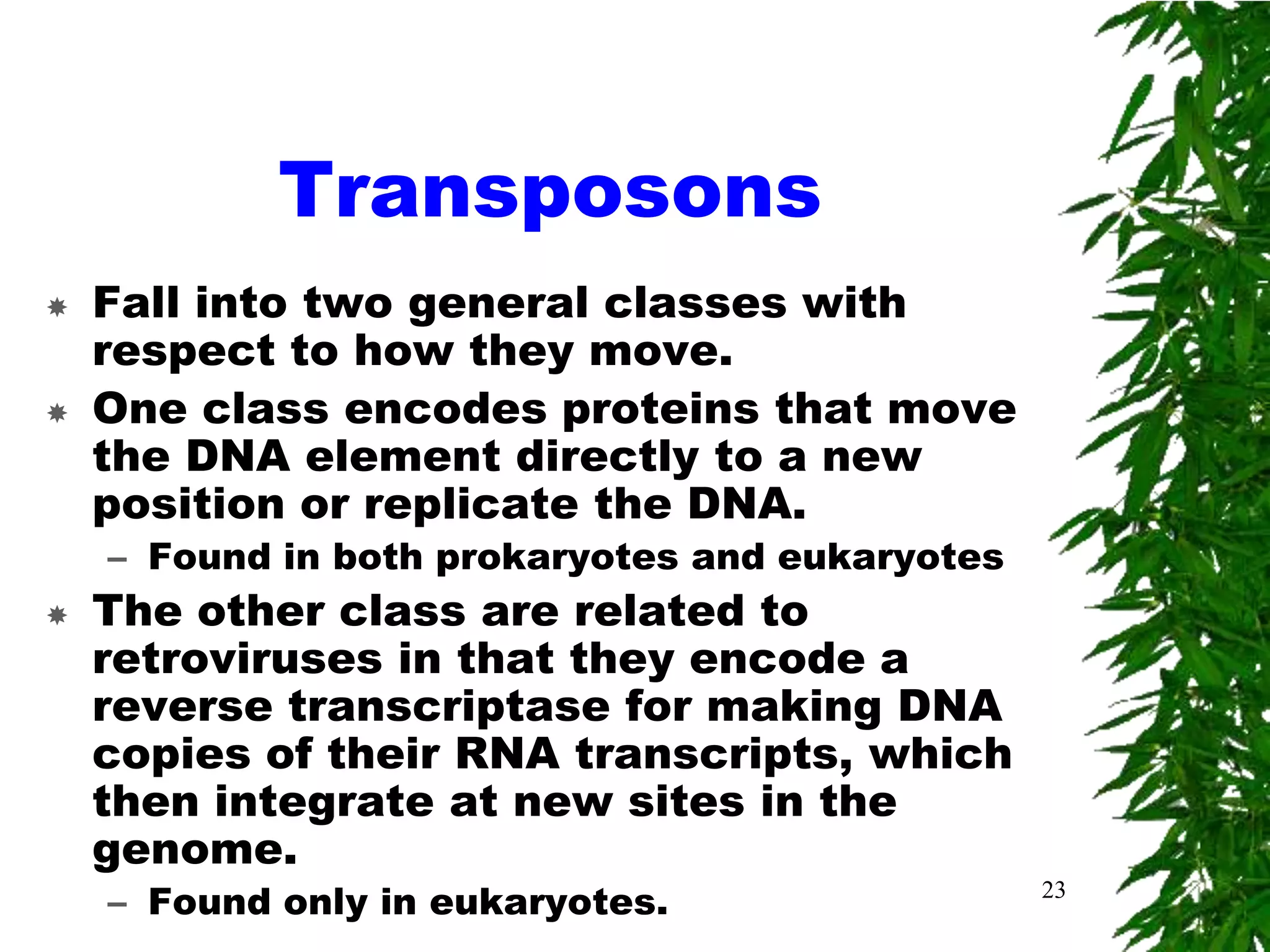 Transposons
   Fall into two general classes with
    respect to how they move.
   One class encodes proteins that move
    the DNA element directly to a new
    position or replicate the DNA.
    – Found in both prokaryotes and eukaryotes
   The other class are related to
    retroviruses in that they encode a
    reverse transcriptase for making DNA
    copies of their RNA transcripts, which
    then integrate at new sites in the
    genome.
    – Found only in eukaryotes.                  23
 