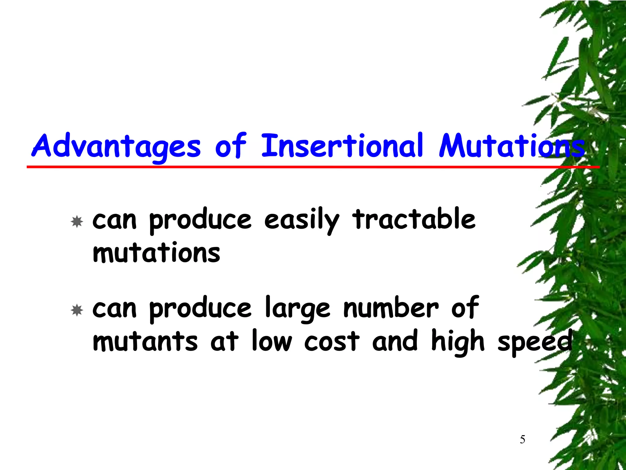 Advantages of Insertional Mutations

     can produce easily tractable
      mutations
     can produce large number of
      mutants at low cost and high speed


                                     5
 