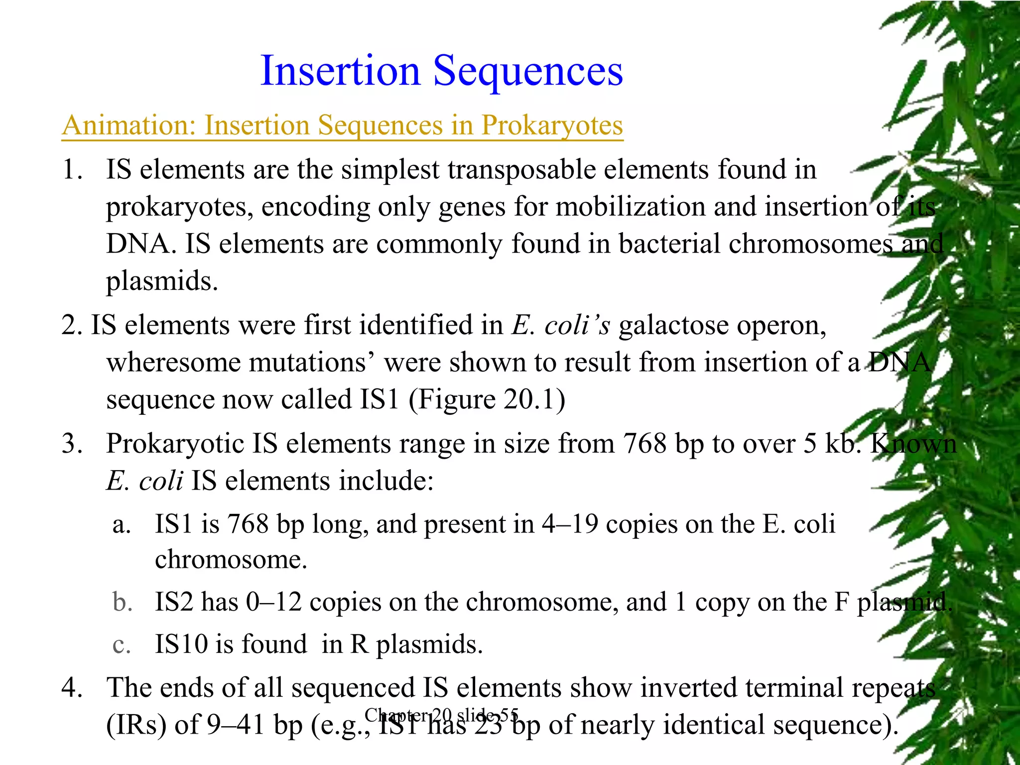 Insertion Sequences
Animation: Insertion Sequences in Prokaryotes
1. IS elements are the simplest transposable elements found in
    prokaryotes, encoding only genes for mobilization and insertion of its
    DNA. IS elements are commonly found in bacterial chromosomes and
    plasmids.
2. IS elements were first identified in E. coli’s galactose operon,
    wheresome mutations’ were shown to result from insertion of a DNA
    sequence now called IS1 (Figure 20.1)
3. Prokaryotic IS elements range in size from 768 bp to over 5 kb. Known
    E. coli IS elements include:
     a. IS1 is 768 bp long, and present in 4–19 copies on the E. coli
         chromosome.
     b. IS2 has 0–12 copies on the chromosome, and 1 copy on the F plasmid.
     c. IS10 is found in R plasmids.
4. The ends of all sequenced IS elements show inverted terminal repeats
    (IRs) of 9–41 bp (e.g., IS1 has 2355 of nearly identical sequence).
                           Chapter 20 slide
                                            bp
 