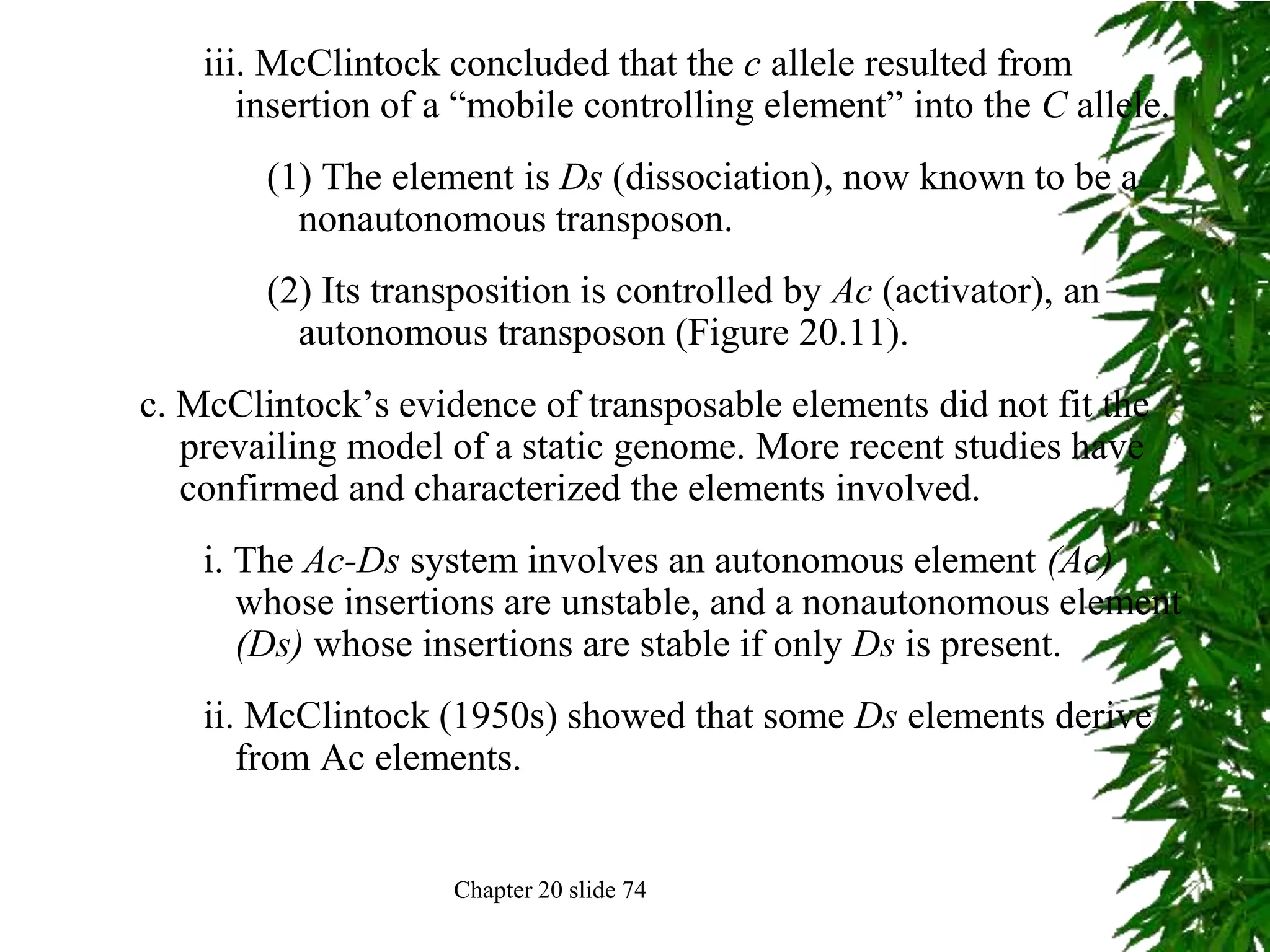 iii. McClintock concluded that the c allele resulted from
       insertion of a “mobile controlling element” into the C allele.
        (1) The element is Ds (dissociation), now known to be a
          nonautonomous transposon.
        (2) Its transposition is controlled by Ac (activator), an
          autonomous transposon (Figure 20.11).
c. McClintock’s evidence of transposable elements did not fit the
   prevailing model of a static genome. More recent studies have
   confirmed and characterized the elements involved.
    i. The Ac-Ds system involves an autonomous element (Ac)
       whose insertions are unstable, and a nonautonomous element
       (Ds) whose insertions are stable if only Ds is present.
    ii. McClintock (1950s) showed that some Ds elements derive
       from Ac elements.


                    Chapter 20 slide 74
 