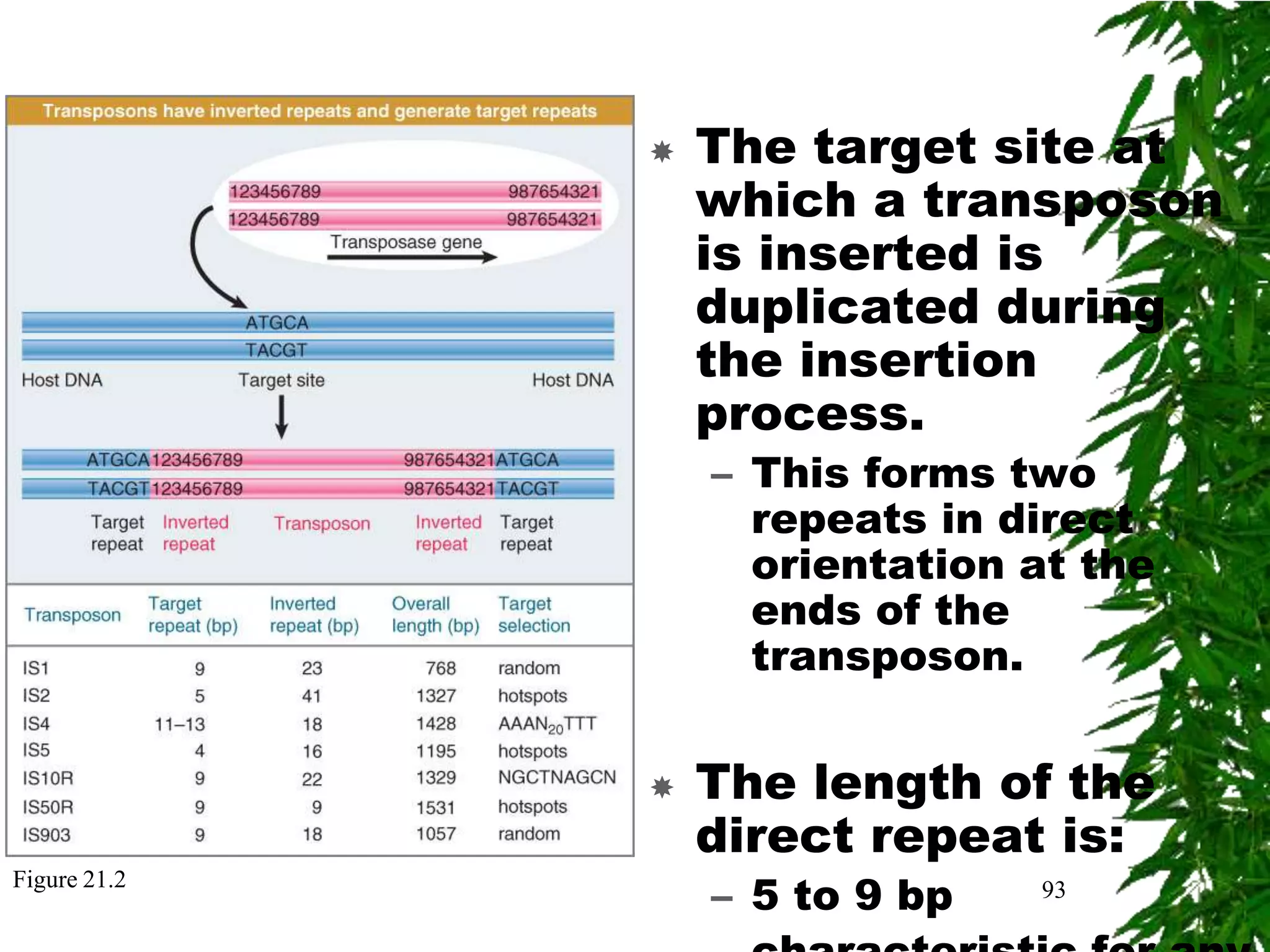    The target site at
                  which a transposon
                  is inserted is
                  duplicated during
                  the insertion
                  process.
                  – This forms two
                    repeats in direct
                    orientation at the
                    ends of the
                    transposon.


                 The length of the
                  direct repeat is:
                  – 5 to 9 bp
Figure 21.2                     93
 