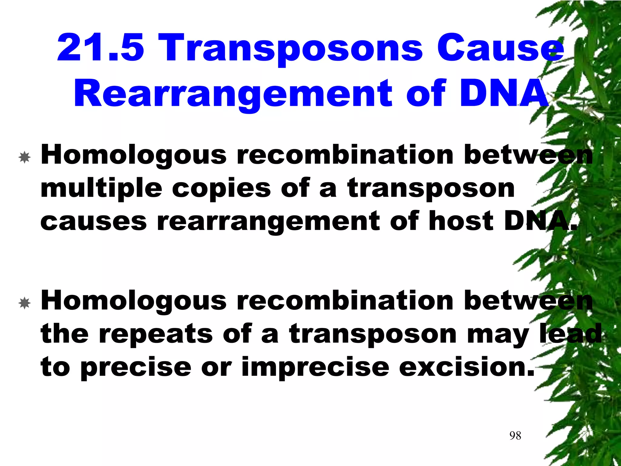 21.5 Transposons Cause
      Rearrangement of DNA
   Homologous recombination between
    multiple copies of a transposon
    causes rearrangement of host DNA.

   Homologous recombination between
    the repeats of a transposon may lead
    to precise or imprecise excision.

                                  98
 