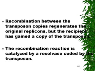   Recombination between the
    transposon copies regenerates the
    original replicons, but the recipient
    has gained a copy of the transposon.

   The recombination reaction is
    catalyzed by a resolvase coded by the
    transposon.
                                   102
 