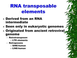 RNA transposable
         elements
   Derived from an RNA
    intermediate
   Seen only in eukaryotic genomes
   Originated from ancient retroviral
    genome
    – Retrotransposon
        LTR elements

    – Retroposons
        SINE-human

        LINE-human
 