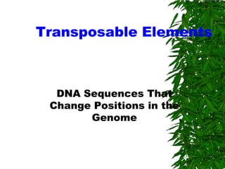 Transposable Elements



  DNA Sequences That
 Change Positions in the
       Genome
 
