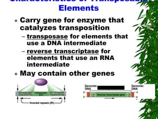 Characteristics of Transposable
           Elements
    Carry gene for enzyme that
     catalyzes transposition
     – transposase for elements that
       use a DNA intermediate
     – reverse transcriptase for
       elements that use an RNA
       intermediate
    May contain other genes
 