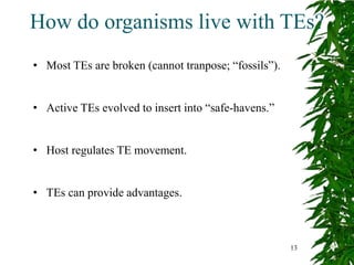 How do organisms live with TEs?
• Most TEs are broken (cannot tranpose; “fossils”).


• Active TEs evolved to insert into “safe-havens.”


• Host regulates TE movement.


• TEs can provide advantages.



                                                      13
 