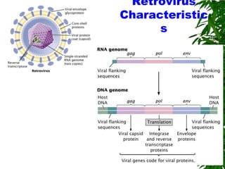 Retrovirus
Characteristic
      s
 