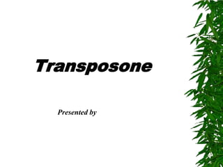 Transposone

  Presented by
 