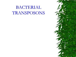 BACTERIAL
TRANSPOSONS
 