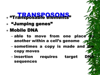 
     TRANSPOSONS
  “Transposable elements”
 “Jumping genes”

 Mobile DNA
    – able to move from         one place to
      another within a cell’s   genome
    – sometimes a copy is       made and the
      copy moves
    – insertion   requires      target   DNA
      sequences
 
