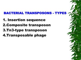 BACTERIAL TRANSPOSONS - TYPES

1. Insertion sequence
2.Composite transposon
3.Tn3-type transposon
4.Transposable phage
 