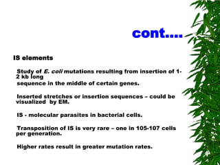 cont….
IS elements

Study of E. coli mutations resulting from insertion of 1-
2 kb long
sequence in the middle of certain genes.

Inserted stretches or insertion sequences – could be
visualized by EM.

 IS - molecular parasites in bacterial cells.

Transposition of IS is very rare – one in 105-107 cells
per generation.

 Higher rates result in greater mutation rates.
 