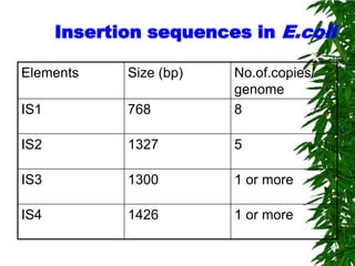 Insertion sequences in E.coli

Elements     Size (bp)   No.of.copies/
                         genome
IS1          768         8

IS2          1327        5

IS3          1300        1 or more

IS4          1426        1 or more
 