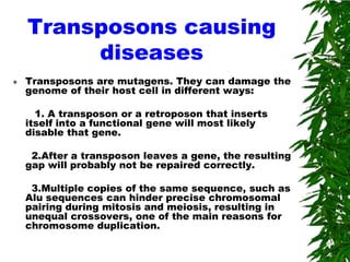 Transposons causing
         diseases
   Transposons are mutagens. They can damage the
    genome of their host cell in different ways:

      1. A transposon or a retroposon that inserts
    itself into a functional gene will most likely
    disable that gene.

     2.After a transposon leaves a gene, the resulting
    gap will probably not be repaired correctly.

     3.Multiple copies of the same sequence, such as
    Alu sequences can hinder precise chromosomal
    pairing during mitosis and meiosis, resulting in
    unequal crossovers, one of the main reasons for
    chromosome duplication.
 