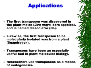 Applications


   The first transposon was discovered in
    the plant maize (Zea mays, corn species),
    and is named dissociator (Ds).

   Likewise, the first transposon to be
    molecularly isolated was from a plant
    (Snapdragon).

   Transposons have been an especially
    useful tool in plant molecular biology.

   Researchers use transposons as a means
    of mutagenesis.
 