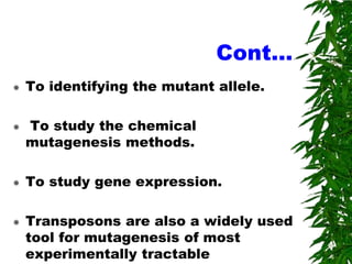 Cont…
   To identifying the mutant allele.

   To study the chemical
    mutagenesis methods.

   To study gene expression.

   Transposons are also a widely used
    tool for mutagenesis of most
    experimentally tractable
 