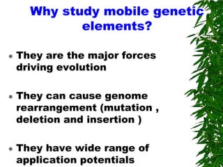 Why study mobile genetic
             elements?

   They are the major forces
    driving evolution

   They can cause genome
    rearrangement (mutation ,
    deletion and insertion )

   They have wide range of
    application potentials
 