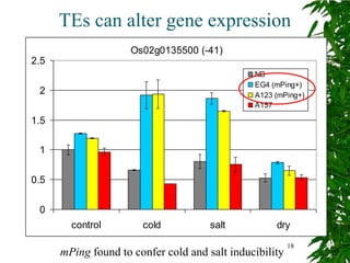TEs can alter gene expression
                     Os02g0135500 (-41)
2.5
                                               NB
                                               EG4 (mPing+)
 2                                             A123 (mPing+)
                                               A157

1.5

 1


0.5


 0
        control        cold           salt          dry
                                                         18
      mPing found to confer cold and salt inducibility
 