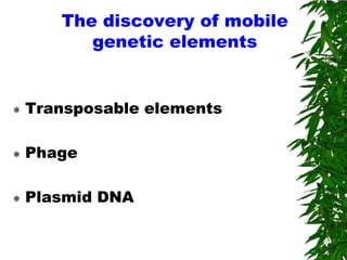 The discovery of mobile
          genetic elements


   Transposable elements

   Phage

   Plasmid DNA
 