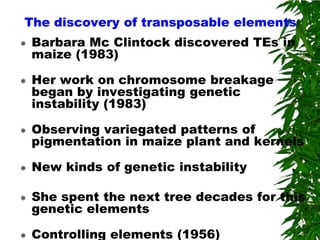 The discovery of transposable elements
   Barbara Mc Clintock discovered TEs in
    maize (1983)

   Her work on chromosome breakage
    began by investigating genetic
    instability (1983)

   Observing variegated patterns of
    pigmentation in maize plant and kernels

   New kinds of genetic instability

   She spent the next tree decades for this
    genetic elements

   Controlling elements (1956)
 