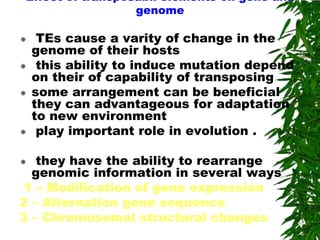 Effect of transposabli elements on gene and
                  genome

    TEs cause a varity of change in the
    genome of their hosts
    this ability to induce mutation depend
    on their of capability of transposing
   some arrangement can be beneficial
    they can advantageous for adaptation
    to new environment
    play important role in evolution .

  they have the ability to rearrange
  genomic information in several ways
1 – Modification of gene expression
2 – Alternation gene sequence
3 – Chromosomal structural changes
 