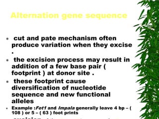 Alternation gene sequence

    cut and pate mechanism often
    produce variation when they excise
    .
    the excision process may result in
    addition of a few base pair (
    footprint ) at donor site .
    these footprint cause
    diversification of nucleotide
    sequence and new functional
    alleles
   Example :Fot1 and Impala generally leave 4 bp – (
    108 ) or 5 – ( 63 ) foot prints
 