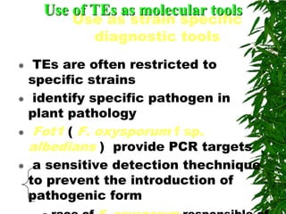 Use of TEs as molecular tools
        Use as strain specific
          diagnostic tools
 TEs are often restricted to
 specific strains
 identify specific pathogen in
 plant pathology
 Fot1 ( F. oxysporum f sp.
 albedians ) provide PCR targets
 a sensitive detection thechnique
 to prevent the introduction of
 pathogenic form
 