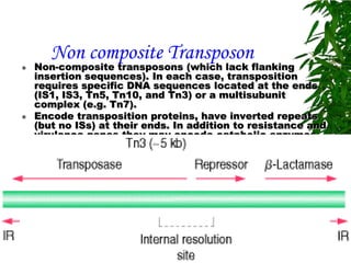 Non composite Transposon
   Non-composite transposons (which lack flanking
    insertion sequences). In each case, transposition
    requires specific DNA sequences located at the ends
    (IS1, IS3, Tn5, Tn10, and Tn3) or a multisubunit
    complex (e.g. Tn7).
   Encode transposition proteins, have inverted repeats
    (but no ISs) at their ends. In addition to resistance and
    virulence genes they may encode catabolic enzymes
 