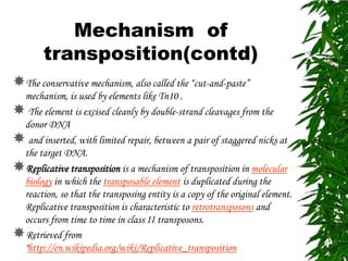 Mechanism of
        transposition(contd)
The conservative mechanism, also called the “cut-and-paste”
 mechanism, is used by elements like Tn10 .
 The element is excised cleanly by double-strand cleavages from the
 donor DNA
 and inserted, with limited repair, between a pair of staggered nicks at
 the target DNA.
Replicative transposition is a mechanism of transposition in molecular
 biology in which the transposable element is duplicated during the
 reaction, so that the transposing entity is a copy of the original element.
 Replicative transposition is characteristic to retrotransposons and
 occurs from time to time in class II transposons.
Retrieved from
 "http://en.wikipedia.org/wiki/Replicative_transposition
 