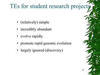 TEs for student research projects

  • (relatively) simple
  • incredibly abundant
  • evolve rapidly
  • promote rapid genome evolution
  • largely ignored (discovery)



                                     22
 
