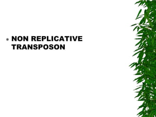    NON REPLICATIVE
    TRANSPOSON
 