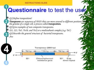 INSTRUCTIONS SLIDE

1
    Questionnaire to test the user
Q1]Define tranposition?
Transposons sequences DNA
2 the genome ofaresingle cell, ofprocessthat can move around to different positions within
                a              a         called transposition.
Q2]Give examples of non composite transposons.
IS1, IS3, Tn5, Tn10, and Tn3) or a multisubunit complex (e.g. Tn7)
Q3]Describe the general structure of bacterial transposons.
3 Ans



4
5
 