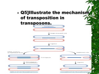  Q5]Illustrate the mechanism
  of transposition in
  transposons.
 ANS:-
 