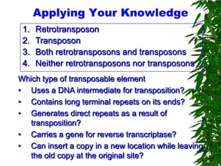 Applying Your Knowledge
 1.   Retrotransposon
 2.   Transposon
 3.   Both retrotransposons and transposons
 4.   Neither retrotransposons nor transposons
Which type of transposable element
• Uses a DNA intermediate for transposition?
• Contains long terminal repeats on its ends?
• Generates direct repeats as a result of
   transposition?
• Carries a gene for reverse transcriptase?
• Can insert a copy in a new location while leaving
   the old copy at the original site?
 