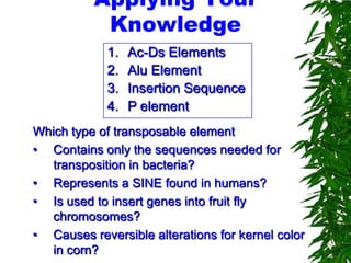 Applying Your
           Knowledge
             1.   Ac-Ds Elements
             2.   Alu Element
             3.   Insertion Sequence
             4.   P element
Which type of transposable element
• Contains only the sequences needed for
  transposition in bacteria?
• Represents a SINE found in humans?
• Is used to insert genes into fruit fly
  chromosomes?
• Causes reversible alterations for kernel color
  in corn?
 