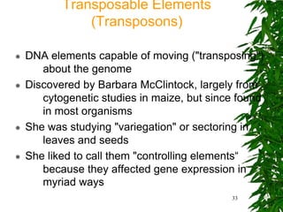 Transposable Elements
               (Transposons)

   DNA elements capable of moving ("transposing")
       about the genome
   Discovered by Barbara McClintock, largely from
       cytogenetic studies in maize, but since found
       in most organisms
   She was studying "variegation" or sectoring in
       leaves and seeds
   She liked to call them "controlling elements“
       because they affected gene expression in
       myriad ways
                                             33
 