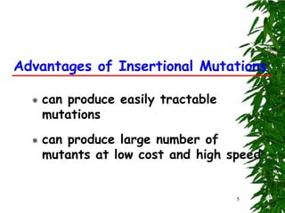 Advantages of Insertional Mutations

     can produce easily tractable
      mutations
     can produce large number of
      mutants at low cost and high speed


                                     5
 