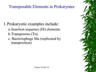 Transposable Elements in Prokaryotes



1.Prokaryotic examples include:
  a. Insertion sequence (IS) elements.
  b.Transposons (Tn).
  c. Bacteriophage Mu (replicated by
     transposition)




                   Chapter 20 slide 54
 