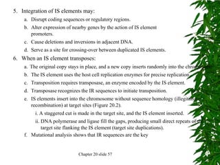 5. Integration of IS elements may:
    a. Disrupt coding sequences or regulatory regions.
    b. Alter expression of nearby genes by the action of IS element
       promoters.
    c. Cause deletions and inversions in adjacent DNA.
    d. Serve as a site for crossing-over between duplicated IS elements.
6. When an IS element transposes:
    a. The original copy stays in place, and a new copy inserts randomly into the chromosome.
    b. The IS element uses the host cell replication enzymes for precise replication.
    c. Transposition requires transposase, an enzyme encoded by the IS element.
    d. Transposase recognizes the IR sequences to initiate transposition.
    e. IS elements insert into the chromosome without sequence homology (illegitimate
       recombination) at target sites (Figure 20.2).
         i. A staggered cut is made in the target site, and the IS element inserted.
        ii. DNA polymerase and ligase fill the gaps, producing small direct repeats of the
            target site flanking the IS element (target site duplications).
    f. Mutational analysis shows that IR sequences are the key


                              Chapter 20 slide 57
 