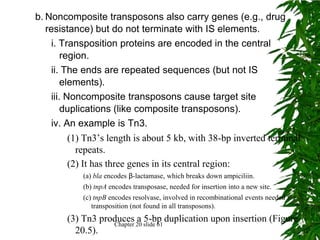 b. Noncomposite transposons also carry genes (e.g., drug
   resistance) but do not terminate with IS elements.
     i. Transposition proteins are encoded in the central
         region.
     ii. The ends are repeated sequences (but not IS
         elements).
     iii. Noncomposite transposons cause target site
         duplications (like composite transposons).
     iv. An example is Tn3.
       (1) Tn3’s length is about 5 kb, with 38-bp inverted terminal
         repeats.
       (2) It has three genes in its central region:
           (a) bla encodes β-lactamase, which breaks down ampiciliin.
           (b) tnpA encodes transposase, needed for insertion into a new site.
           (c) tnpB encodes resolvase, involved in recombinational events needed for
              transposition (not found in all transposons).
       (3) Tn3 produces 20 slide 61 duplication upon insertion (Figure
                  Chapter
                          a 5-bp
         20.5).
 
