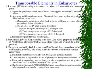 Transposable Elements in Eukaryotes
1. Rhoades (1930s) working with sweet corn, observed interactions between two
    genes:
    a. A gene for purple seed color, the Al locus. Homozygous mutants (a/a) have colorless
        seeds.
    b. A gene on a different chromosome, Dt (dotted) that causes seeds with genotype a/a
        Dt/-- to have purple dots.
          i. Dt appears to mutate the a allele back to the Al wild-type in regions of the seed,
              producing a dotted phenotype.
          ii. The effect of the Dt allele is dose dependent.
                (1) One dose gave an average of 7.2 dots per seed.
                (2) Two doses gave an average of 22.2 dots/seed.
                (3) Three doses gave an average of 121.9 dots/seed.
    c. Rhoades interpreted Dt as a mutator gene.
2. McClintock (1940s-50s), working with corn (Zea mays) proposed the existence
    of “controlling elements” that regulate other genes and are mobile in the
    genome.
3. The genes studied by both Rhoades and McClintock have turned out to be
    transposable elements, and many others have been identified in various
    eukaryotes.
    a. Most studied are transposons of yeast, Drosophila, corn and humans.
    b. Their structure is very similar to that of prokaryotic transposable elements.
    c. Eukaryotic transposable elements have genes for transposition and integration at a
        number of sites, as well as a variety of other genes.
    d. Random insertion results from 20 slide 71
                                Chapter non-homologous recombination, and means that any
        chromosomal gene may be regulated by a transposon.
 