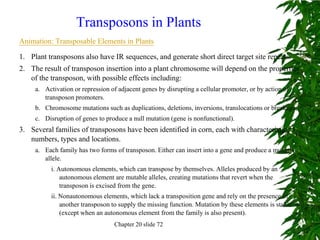 Transposons in Plants
Animation: Transposable Elements in Plants

1. Plant transposons also have IR sequences, and generate short direct target site repeats.
2. The result of transposon insertion into a plant chromosome will depend on the properties
   of the transposon, with possible effects including:
     a. Activation or repression of adjacent genes by disrupting a cellular promoter, or by action of
        transposon promoters.
     b. Chromosome mutations such as duplications, deletions, inversions, translocations or breakage.
     c. Disruption of genes to produce a null mutation (gene is nonfunctional).
3. Several families of transposons have been identified in corn, each with characteristic
   numbers, types and locations.
     a. Each family has two forms of transposon. Either can insert into a gene and produce a mutant
        allele.
           i. Autonomous elements, which can transpose by themselves. Alleles produced by an
               autonomous element are mutable alleles, creating mutations that revert when the
               transposon is excised from the gene.
           ii. Nonautonomous elements, which lack a transposition gene and rely on the presence of
               another transposon to supply the missing function. Mutation by these elements is stable
               (except when an autonomous element from the family is also present).
                                  Chapter 20 slide 72
 
