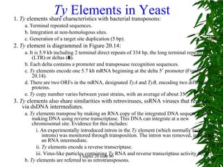 Ty Elements in Yeast
1. Ty elements share characteristics with bacterial transposons:
    a. Terminal repeated sequences.
    b. Integration at non-homologous sites.
    c. Generation of a target site duplication (5 bp).
2. Ty element is diagrammed in Figure 20.14:
    a. It is 5.9 kb including 2 terminal direct repeats of 334 bp, the long terminal repeats
        (LTR) or deltas (δ).
    b. Each delta contains a promoter and transposase recognition sequences.
    c. Ty elements encode one 5.7 kb mRNA beginning at the delta 5’ promoter (Figure
        20.14).
    d. There are two ORFs in the mRNA, designated TyA and TyB, encoding two different
        proteins.
    e. Ty copy number varies between yeast strains, with an average of about 35.
3. Ty elements also share similarities with retroviruses, ssRNA viruses that replicate
    via dsDNA intermediates.
    a. Ty elements transpose by making an RNA copy of the integrated DNA sequence, them
        making DNA using reverse transcriptase. This DNA can integrate at a new
        chromosomal site. Evidence for this includes:
          i. An experimentally introduced intron in the Ty element (which normally lacks
              introns) was monitored through transposition. The intron was removed, indicating
              an RNA intermediate.
          ii. Ty elements encode a reverse transcriptase.
          iii. Virus-like particles containing Ty RNA and reverse transcriptase activity occur.
                                 Chapter 20 slide 80
    b. Ty elements are referred to as retrotransposons.
 