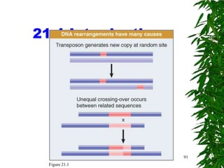 21.1 Introduction




                    91
  Figure 21.1
 